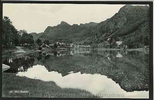 Nygård Moi