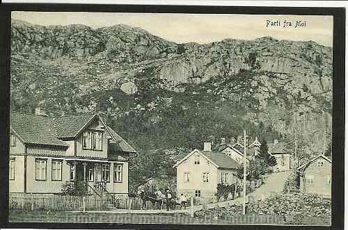 Snørebråde Moi