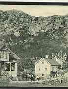Snørebråde Moi